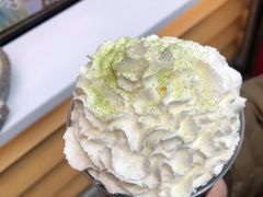 云朵般的奶油顶-仙境豆夫(步行街旗舰店)