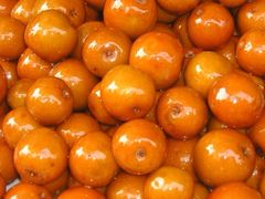 -老炳·七丛松甘草水果