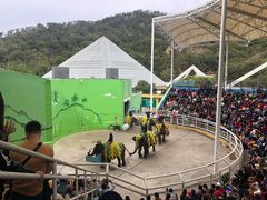 -大连森林动物园