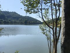 -凤岗南门山森林公园