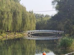 -北坞公园