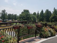-东平国家森林公园