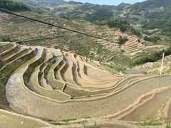 -紫鹊界梯田景区