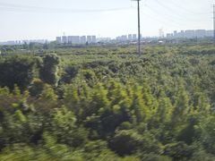 -星巴克(上海虹桥站2A检票口)