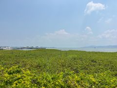 -怡得观滇餐厅·地道昆明菜·1996(海埂大坝店)