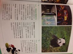 广州新图书馆-广州图书馆