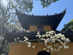 -法雨寺餐厅