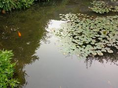 -龙头寺公园