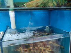 水产区-名超海鲜烧烤大排档