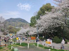 -杭州少年儿童公园