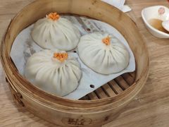 -老班长手工灌汤包(望京华彩店)