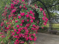 -苏州上方山国家森林公园