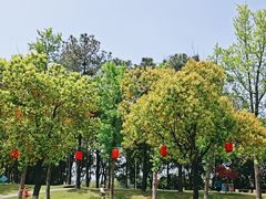 -美兰湖景区