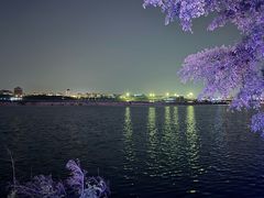 -厦门园林博览苑