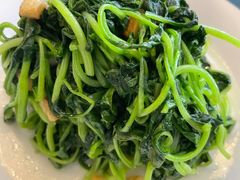 清炒鸡毛菜-北京厨房(西安SKP店)