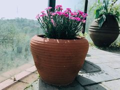 -远山有窑