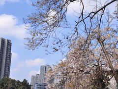 -成都市活水公园
