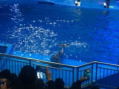 -多彩贵州城极地海洋世界