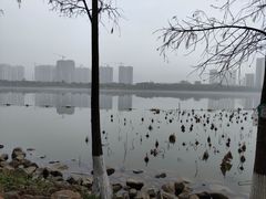 -飞来湖湿地公园