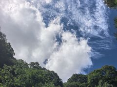 -少华山国家森林公园