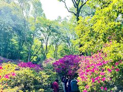 -南山风景名胜区