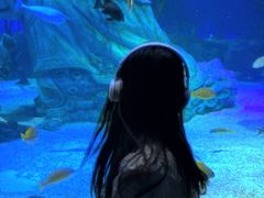 -沈阳海洋探索中心