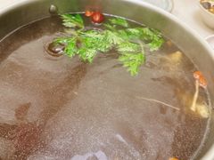-菌子鲜汤野生菌锅