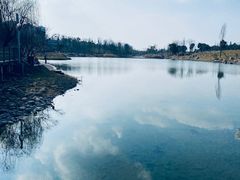 -桂溪生态公园