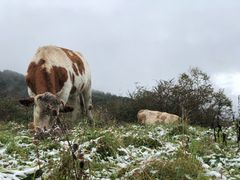 -硗碛藏寨·神木垒景区