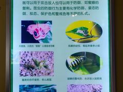 -上海昆虫博物馆