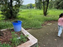 -广东花都香草世界旅游度假区