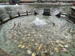 -百脉泉景区