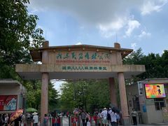 -广东茂名森林公园