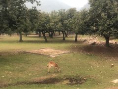 -西安秦岭野生动物园