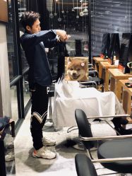 -艾米莉 烫染沙龙