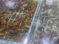 -聚盛源蒸汽海鲜火锅烤肉自助(巨川金海岸购物广场店)