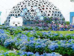 -观澜湖生态运动公社