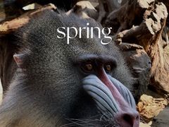 -云南野生动物园
