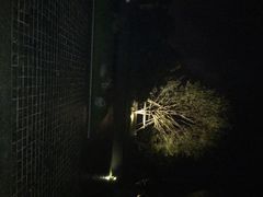 都喜泰丽温泉度假酒店-广州都喜泰丽温泉度假酒店