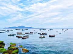 -海源公园