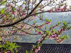 -龙潭生态旅游度假区