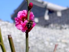 -北京明城墙遗址公园