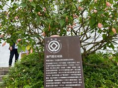 -东望洋炮台东望洋灯塔