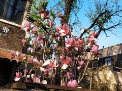 -天津五大道文化旅游区