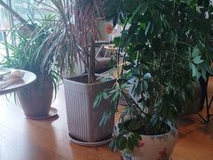 -长湘居(数码大厦店)