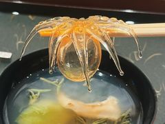 -辉·四季料亭·怀石料理·深夜食堂烧鸟·Omakase