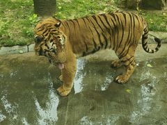 -北京野生动物园