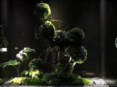 -唐宫足道·SPA·影院会馆(木渎店)