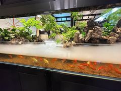 -舟小鲜·舟山小渔村(凤城四路中登广场店)