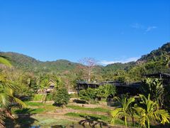 -海南槟榔谷黎苗文化旅游区